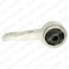 DELPHI TD650W Control Arm-/Trailing Arm Bush